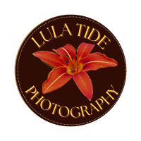Lula Tide Photography