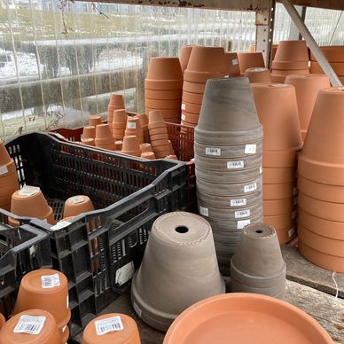 Mixed terracotta clay planters