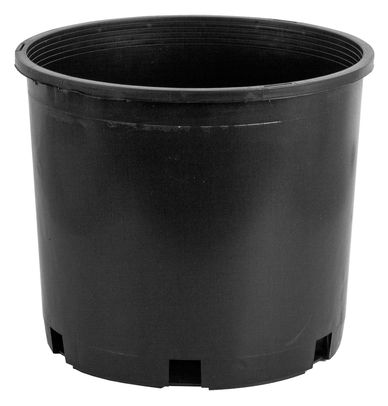 Standard black nursery pot