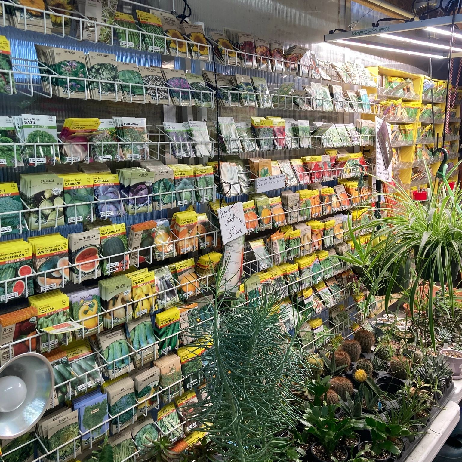 Seed rack, seed packets, and mixed succulents