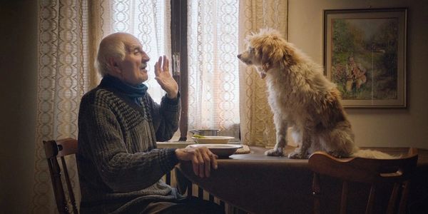 Elderly man talking to a dog at the dining table.