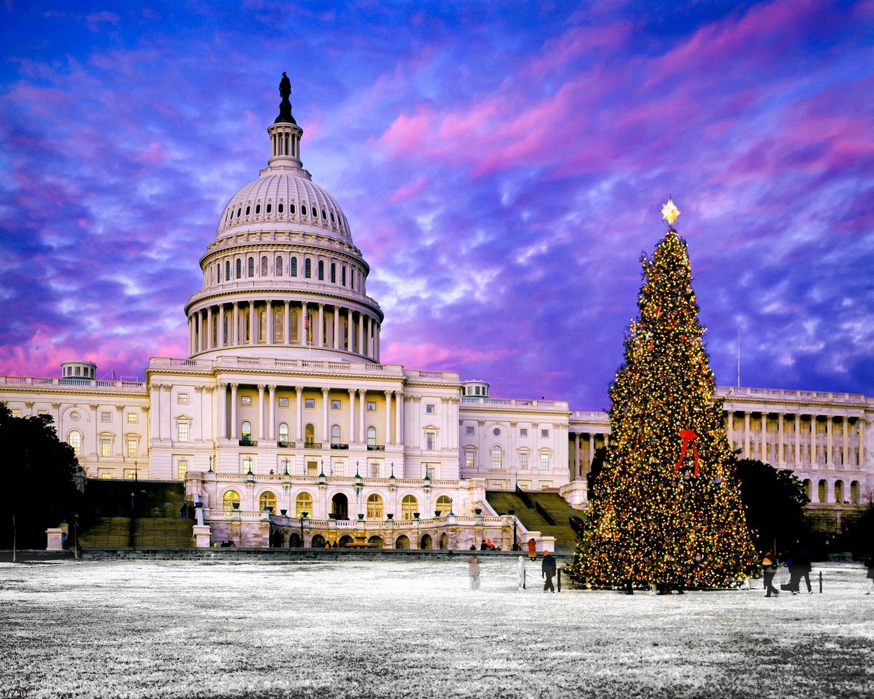 Holidays at the U.S. Capitol with Christmas Tree