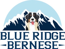 Welcome to
Blue Ridge bernese