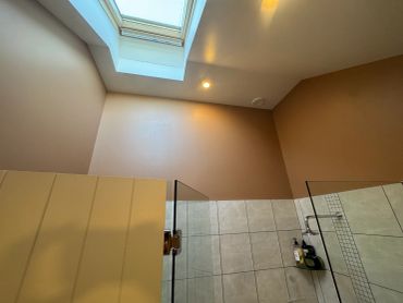 Bathroom with skylight and glass shower enclosure.