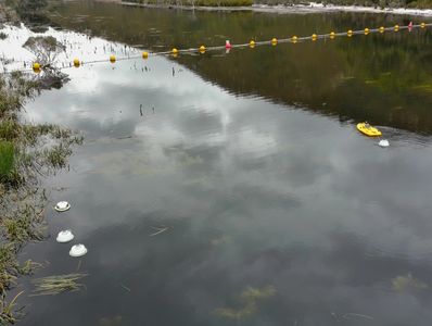 A calm water body with floating buoys and a small yellow boat.