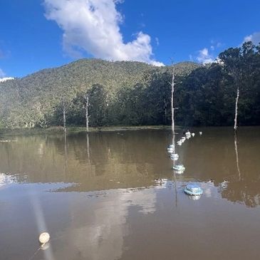 Floating buoys line a calm lake with forested hills in the background.