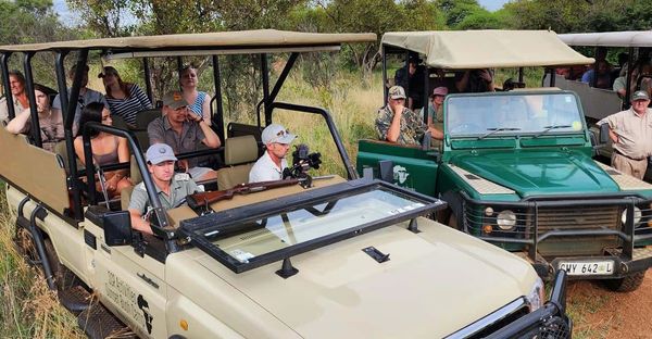 Tourists on safari vehicles observing wildlife in a natural setting.