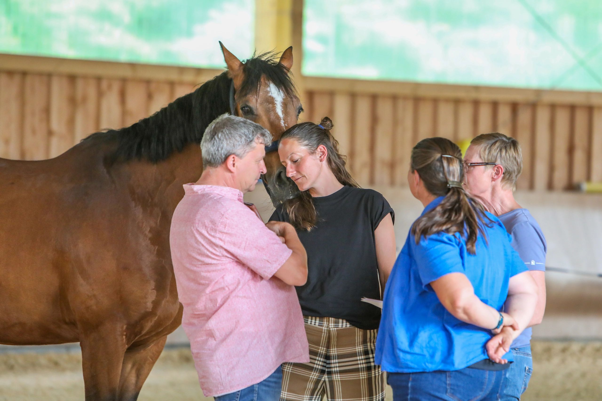 Teamcoaching mit Pferd in der Reithalle