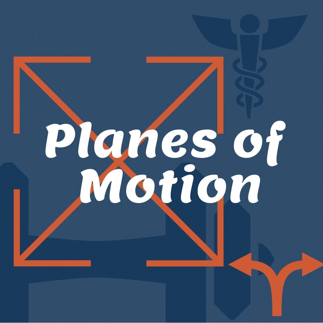 Planes Of Motion