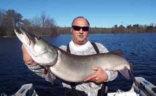 Personal best muskie (musky) of a lifetime!