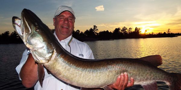 French River Musky Andy Pappas Muskie Georgian Bay. Lake Nipissing. Fishing Guide