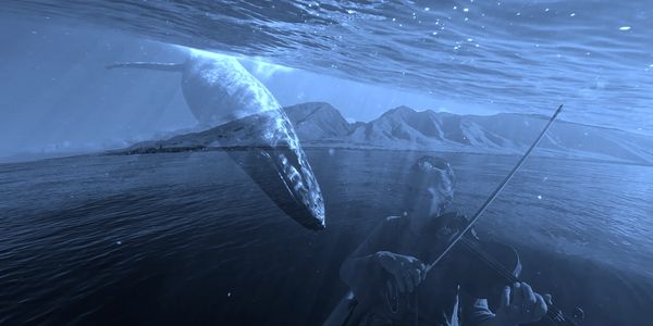 A man plays violin underwater with a whale nearby and mountains in the background.