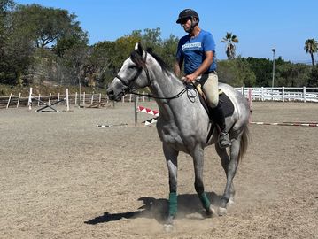 Man riding a gray horse in an outdoor arena.
