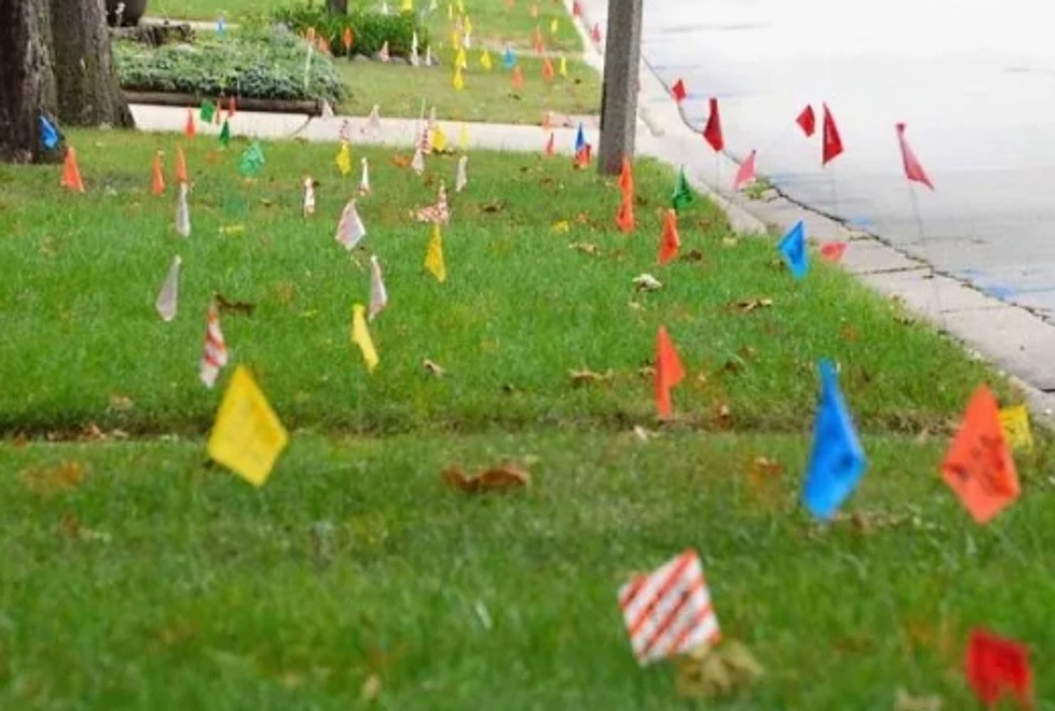 Colored flags marking underground utilities on a grassy lawn.