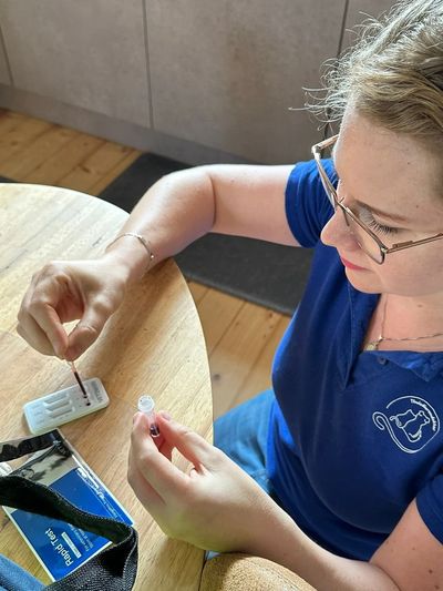 Titeren met de Rapid Status Titer Test aan huis door dierenarts Caroline de Lange