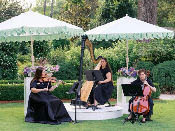 String trio performing outdoors under umbrellas.