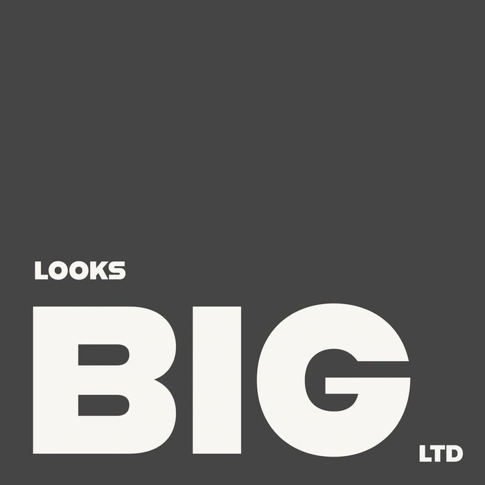 Looks Big Logo