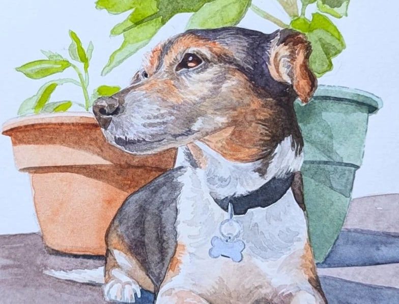 Memorial-pet-portrait-by-uk-pet-portrait-artist-jo-shepherd-UK