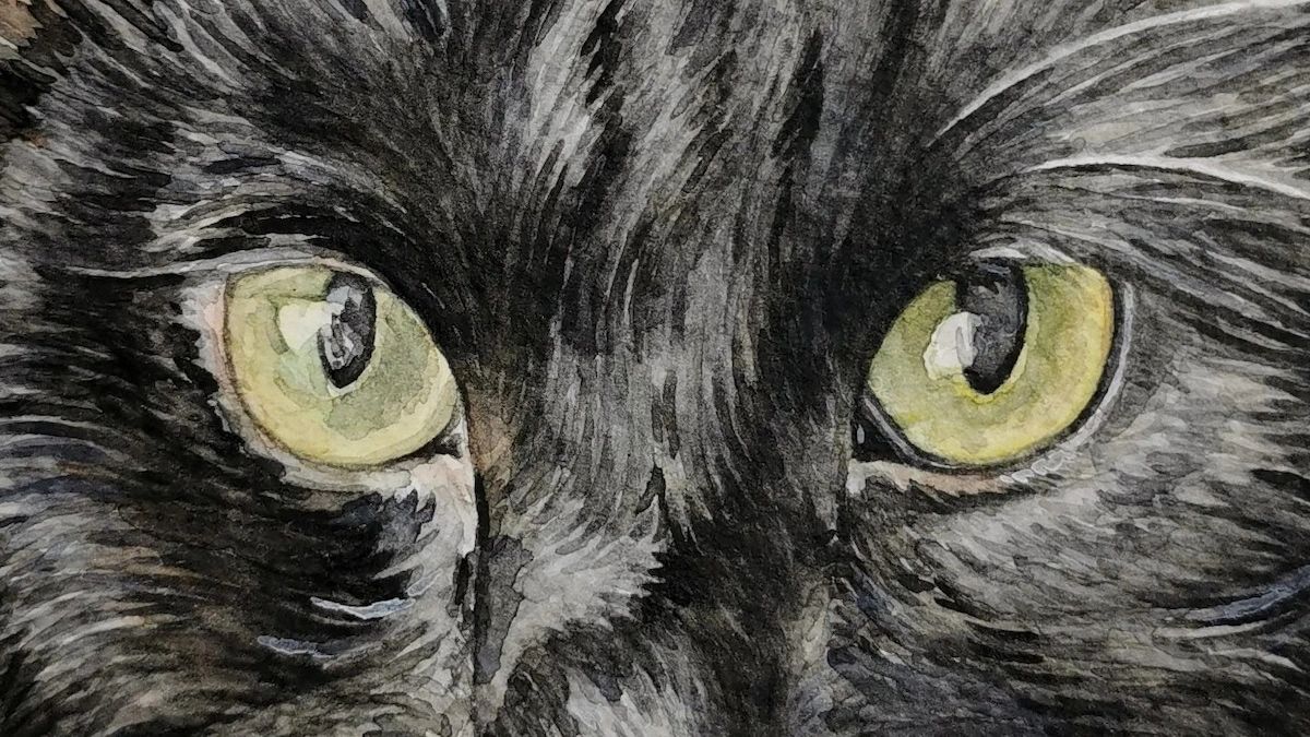 Close up showing the detail of a hand-painted watercolour cat portrait, focused on its green eyes
