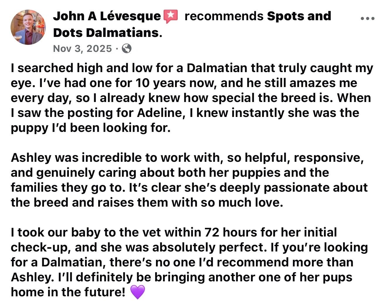 A heartfelt recommendation praising Spots and Dots Dalmatians and the breeder Ashley.