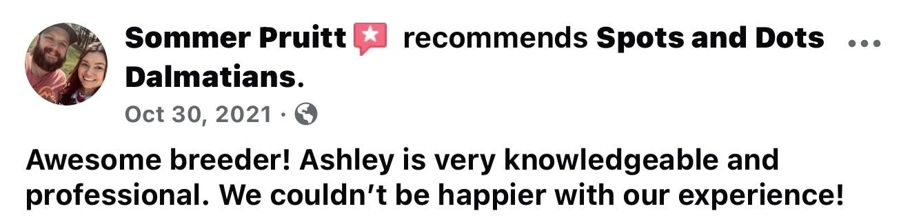Positive review praising Ashley from Spots and Dots Dalmatians as knowledgeable and professional.