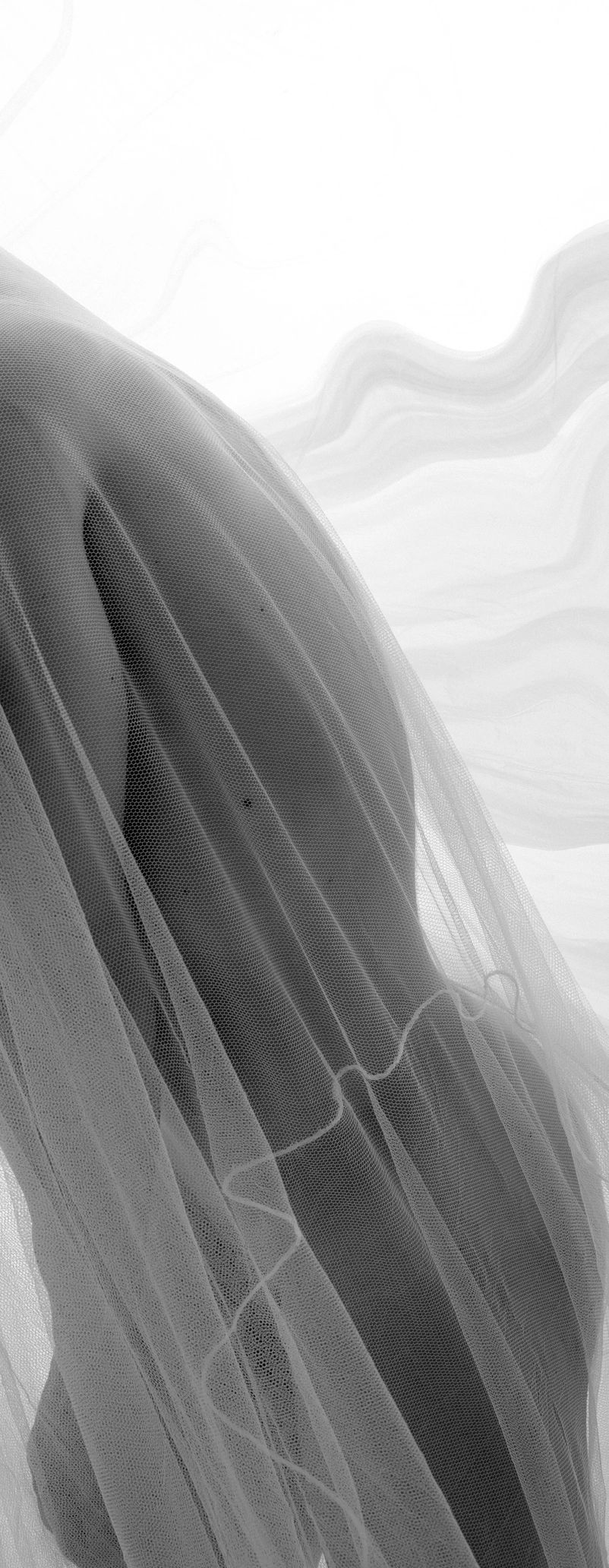 Abstract black and white entwined bodies with flowing fabric.