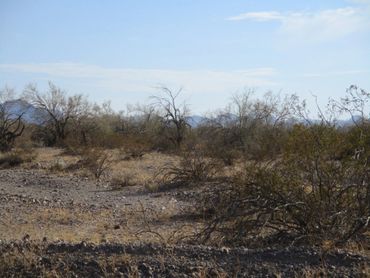 Large acre
