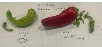 Peppers field trial