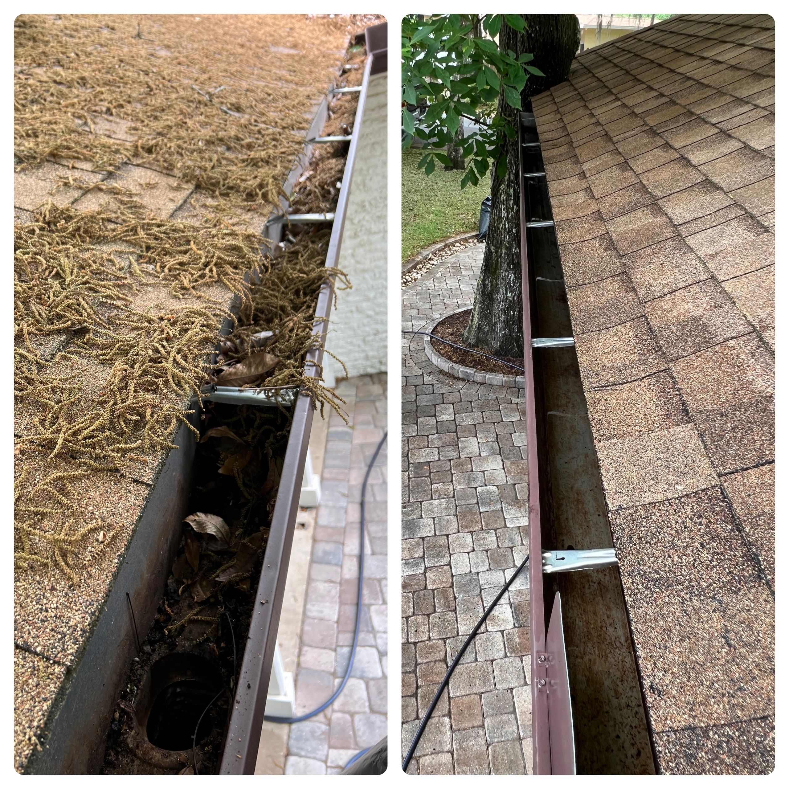 Gutter Cleaning