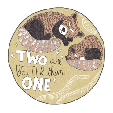 Two raccoons sleeping with text Two are better than one.
