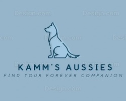 Kamm’s Aussies