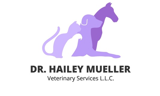 Dr. Hailey Mueller Veterinary Services LLC