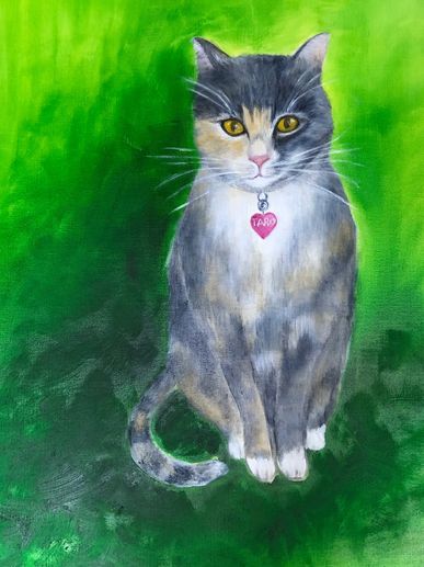 Brown cat With green background