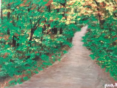 A winding path through a dense green forest.