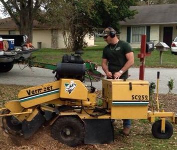 Stump removals. Stump grinding. Tree removals. Tree stump removals. 