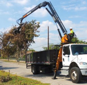 Grapple loader. Wood removal. Tree removals. 