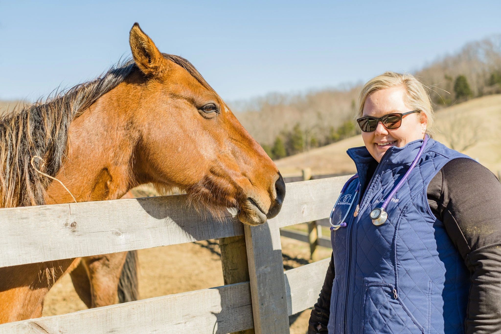 Veterinarian smiling next to a brown horse by a wooden fence.