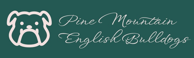 Pine Mountain English Bulldogs
