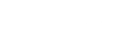 fSecurity Solutions
