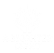A Brighter Light