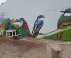 Colorful bird murals painted on a white wall near a dirt ground.