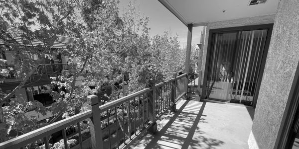 Sunny balcony with wooden railing and greenery.