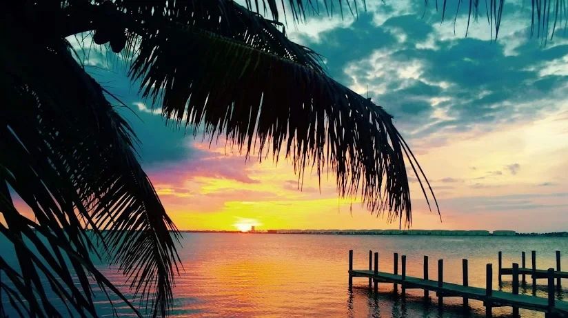 Sunshine Adjusters LLC