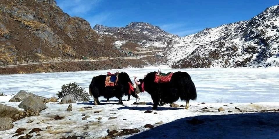  6 Nightss 7 Days Gangtok & North Sikkim Tour Packages