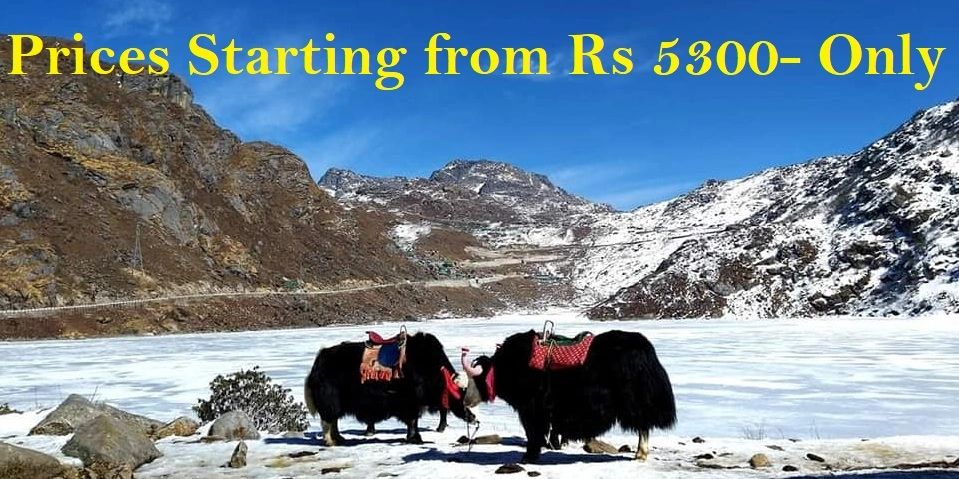 Silk Route Tour Package From Kolkata | NJP | Siliguri | Cost