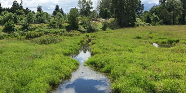 A serene creek runs through lush green grass under a partly cloudy sky.