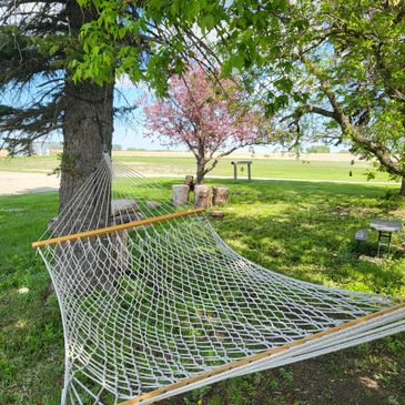 A peaceful hammock hanging between two trees in a sunny garden.