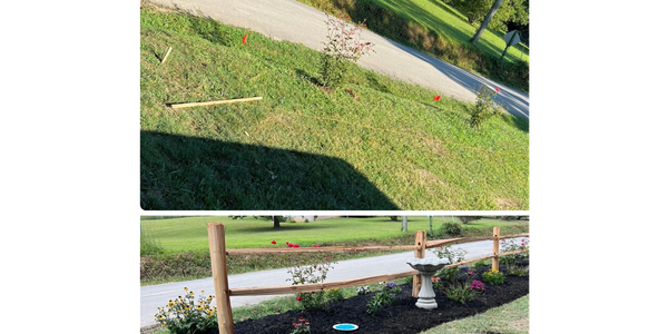 Before and after photos of a garden bed transformation with new plants and mulch.