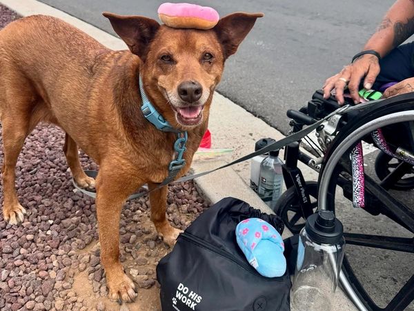 Outreach in Flagstaff AZ at Walmart 