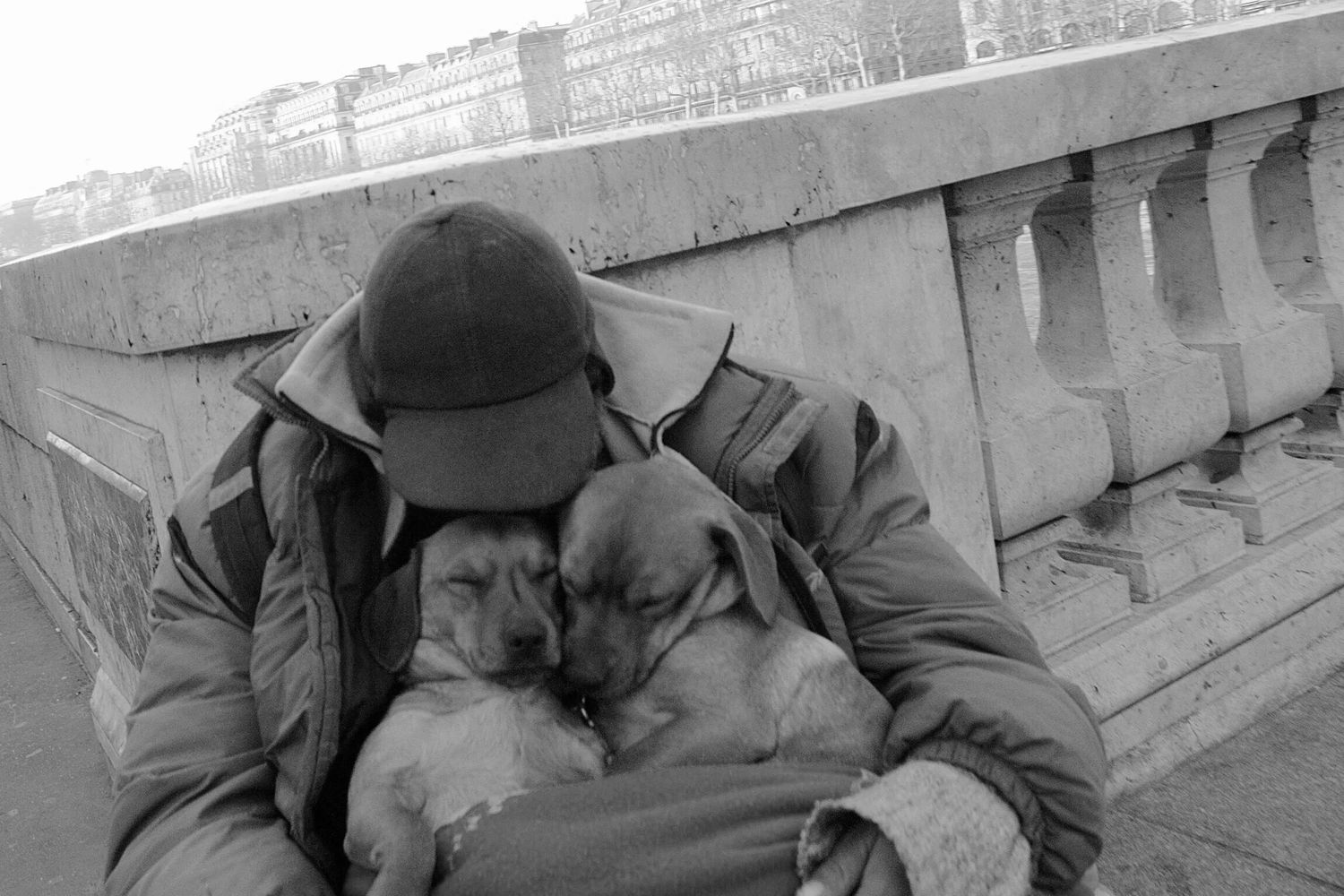 unhoused with dogs